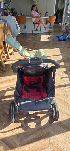 Phil &Ted's double buggy
