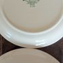 Keltcraft Ivy Lane Plates x 3 Image 5