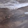 'Seashore' Image 6