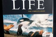 David Attenborough: Trials Of Life - The Complete Series DVD (2005)