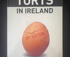 Torts in Ireland book