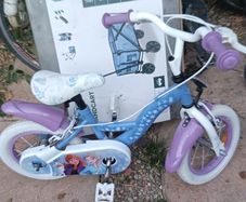 Frozen bike