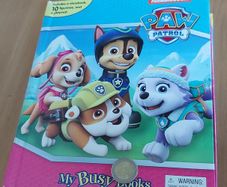 Paw Patrol Story Play Kit
