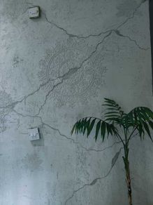 Decorative plaster