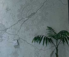 Decorative plaster