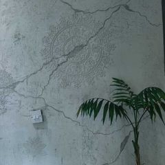 Decorative plaster