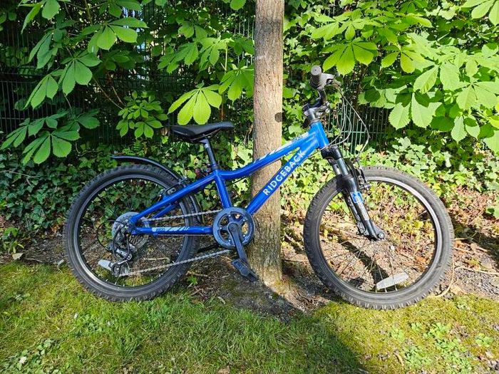 Ridgeback MX20 20 Kids Bike