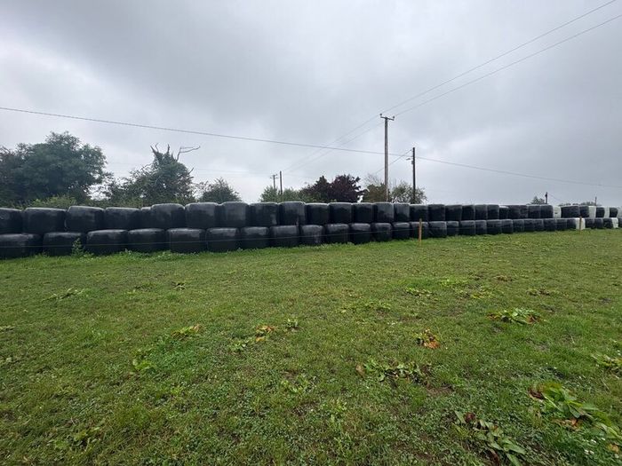 Hay & Silage