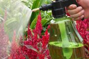 Garden Watering Irrigation Watering and Spraying Pot Air Pressure Small Horticultural Household Watering Pot Sprinkler and Spray Sprayer