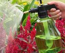 Garden Watering Irrigation Watering and Spraying Pot Air Pressure Small Horticultural Household Watering Pot Sprinkler and Spray Sprayer
