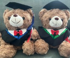 Graduation Teddy Bear Panda Capybara Plush Toy