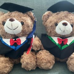 Graduation Teddy Bear Panda Capybara Plush Toy