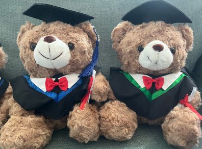 Graduation Teddy Bear Panda Capybara Plush Toy
