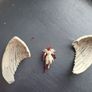 Miniatures Image 2