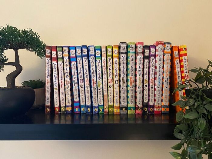 Diary Of A Wimpy Kid Children Book Series
