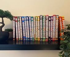 Diary Of A Wimpy Kid Children Book Series