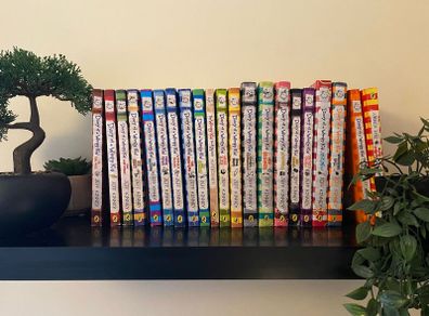 Diary Of A Wimpy Kid Children Book Series