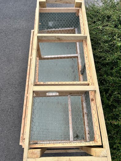 quail/chick cage