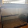 Lizard tank Image 2