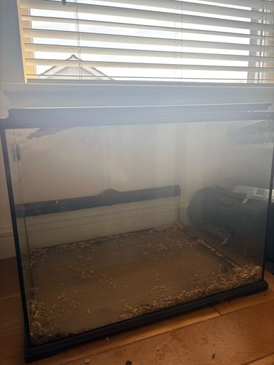 Lizard tank