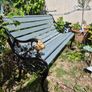 Garden Bench  Lion Design restored seat outside outdoor garden sitting cast iron treated timber decorations, furniture patio  decking, great present ignore flowers pots plants, garden statue chair  swing patio table heater bbq hammock sun outdoor liv Image 3