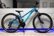Ridgeback Terrain 2 Bike
