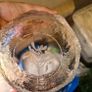 Kosta Boda "Rhapsody" textured art glass bowl, Image 2