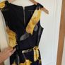 dress Image 2