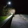 LED Street Solar Powered lights Image 5