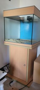 fish tank