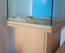 fish tank