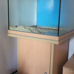 fish tank