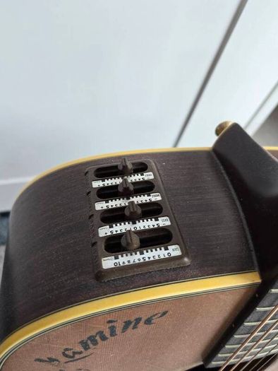 Takamine