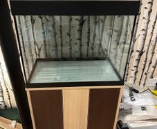 Full Fish Tank Setup