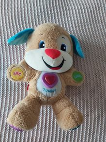 Fisher Price Puppy Learning Toy