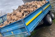Firewood