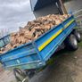 Trailer loads of hardwood firewood Image 5