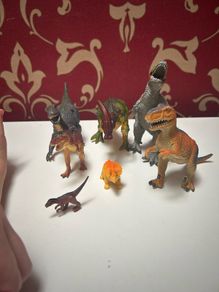 Dinosaur bundle