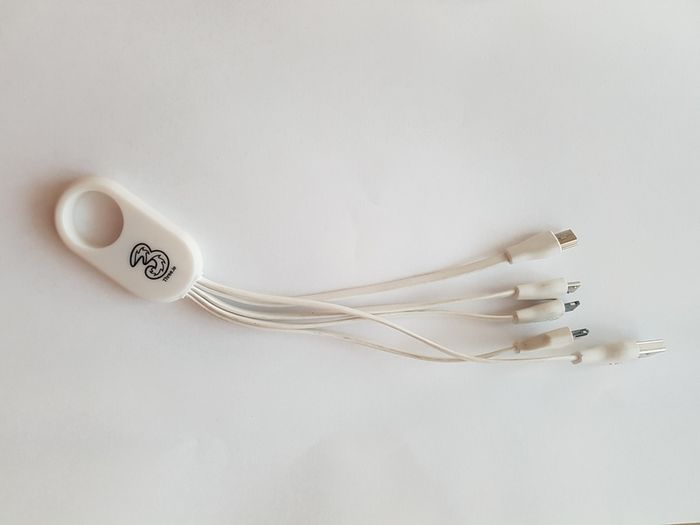 4 in 1 pin data cable