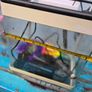 17L Aquarium including filter, heater and 3 decorations Image 5