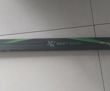 dart oche