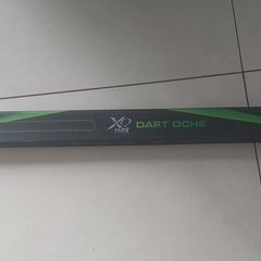 dart oche