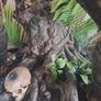 Prime 1 Studio Jungle Hunter Predator Deluxe Bonus Image 5
