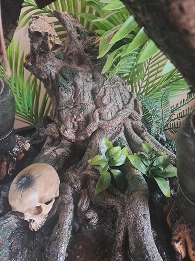 Prime 1 Studio Jungle Hunter Predator Deluxe Bonus