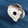 Quail Egg Cup Image 6