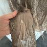 Part Two Copenhagen sequin dress with feathers Image 4