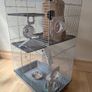 Rat cage and 2 cute rats Image 9