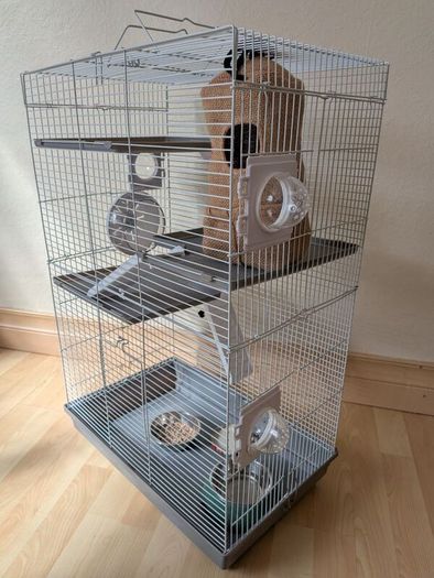 Rat cage and 2 cute rats