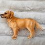 Schleich Farm World Golden Retriever D 73527 approx. 6 cm. tall Used Please see photos Image 2