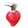 3 for 20e !!! Decorative brand new summer candle gift set artichoke strawberry peach birds Image 8